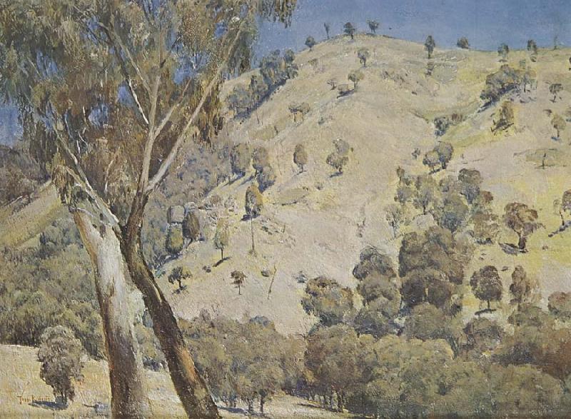 Tom roberts Australian landscape Sweden oil painting art